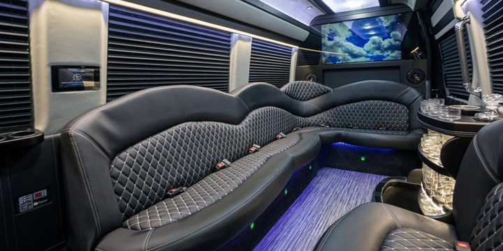 12 PASSENGER MERCEDES PARTY BUS (1)