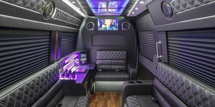12 PASSENGER MERCEDES PARTY BUS (2)