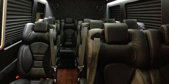 14 PASSENGER EXECUTIVE SHUTTLE (1)