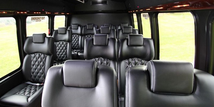 14 PASSENGER EXECUTIVE SHUTTLE (2)