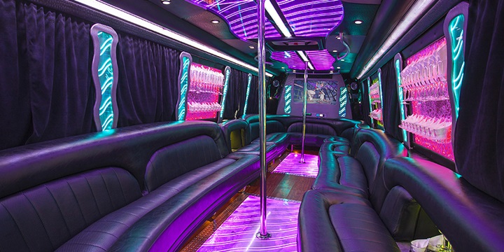 20-24 PASSENGER PARTY BUS