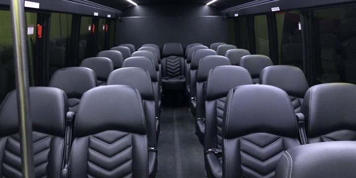 31 PASSENGER EXECUTIVE COACH (1)